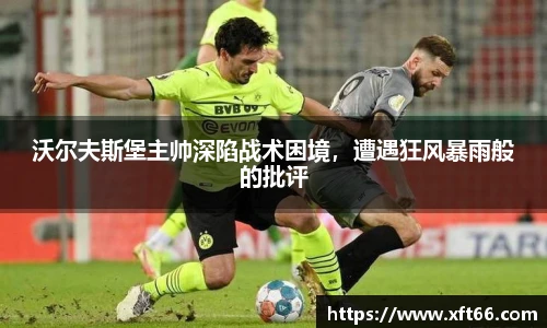 万博max体育官网入口